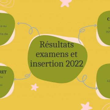 Examens et insertion 2022